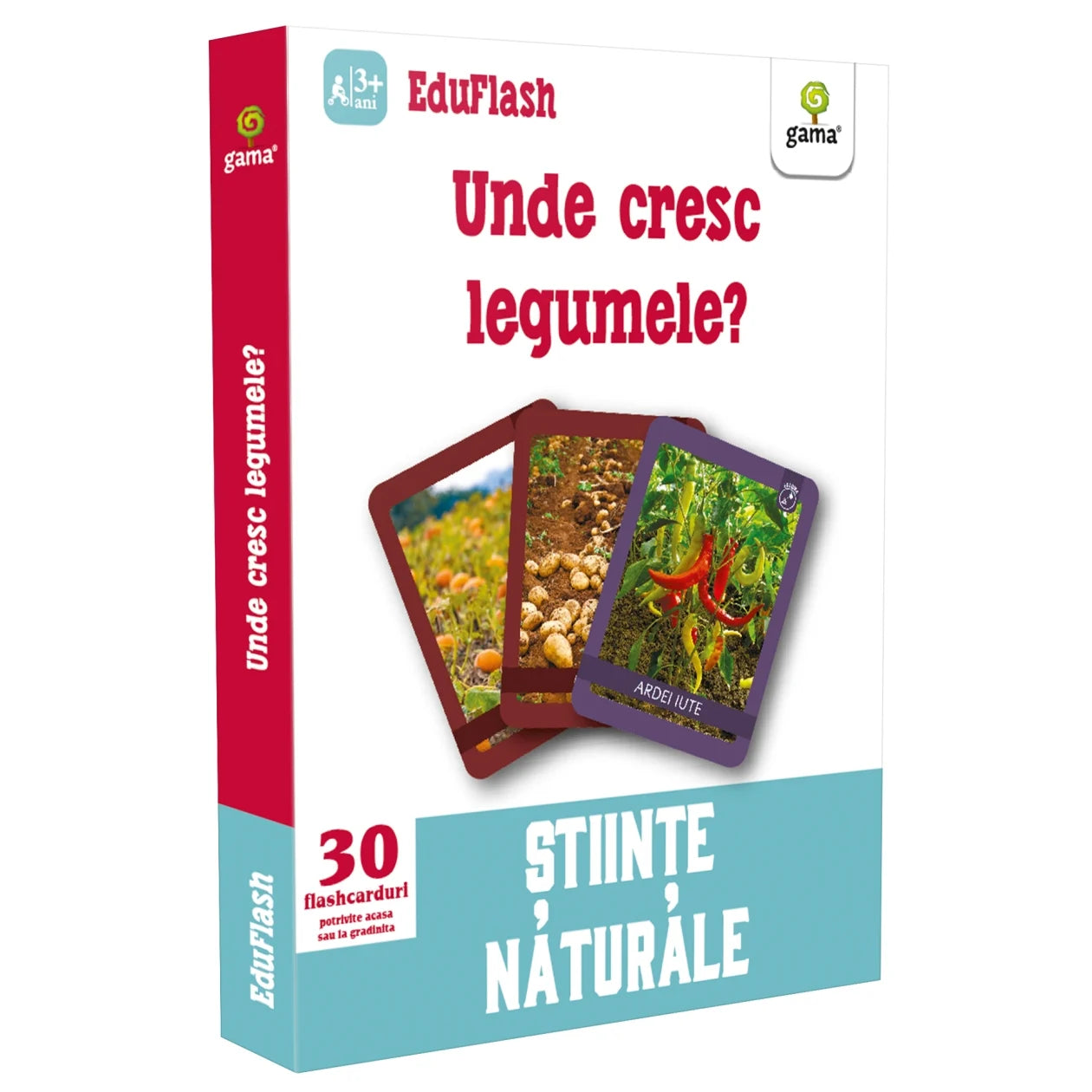 Unde cresc legumele? EDUSET