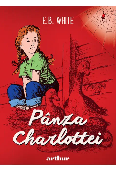 Panza Charlottei | format mare