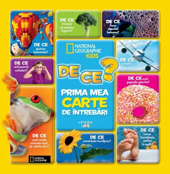 De ce? Prima mea carte de intrebari - Amy Shields