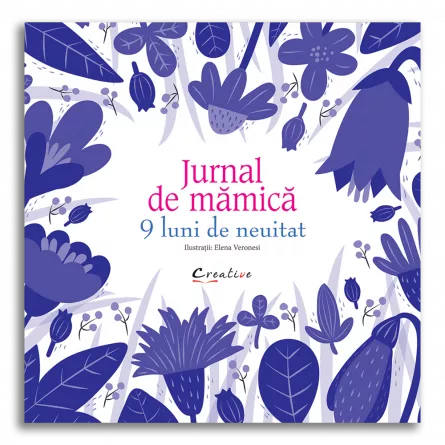 JURNAL DE MAMICA 9 LUNI DE NEUITAT