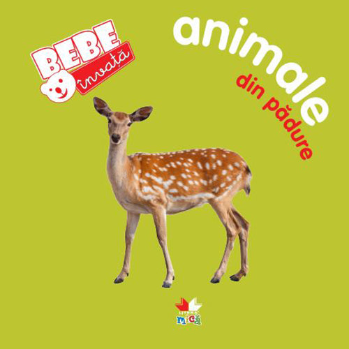 Animale din pădure. Bebe învață