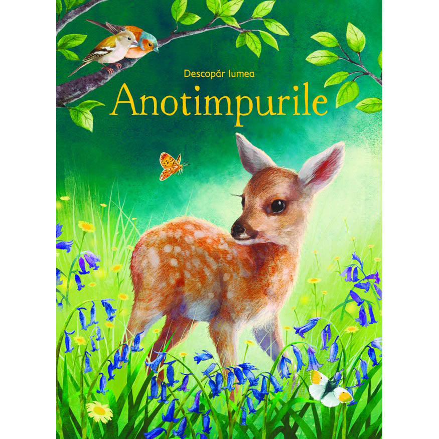 Anotimpurile