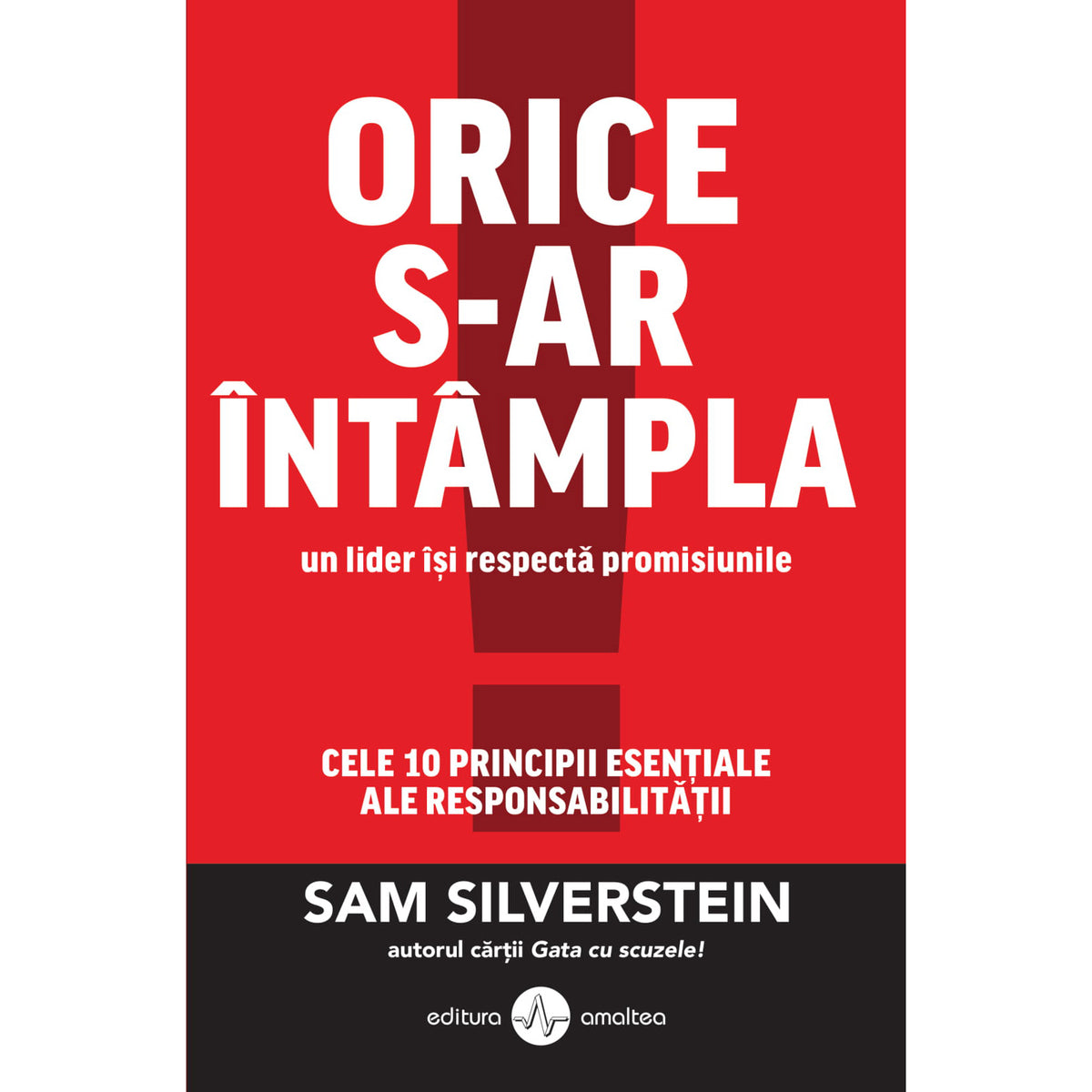 Orice s- ar intampla, Sam Silverstein
