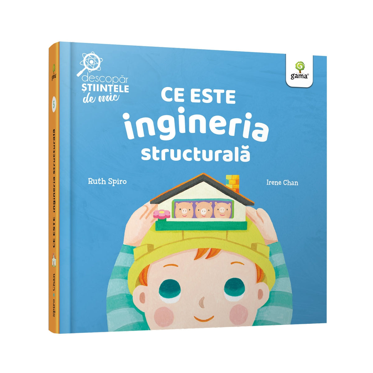 Ce este ingineria structurala/Descopar stiintele de mic