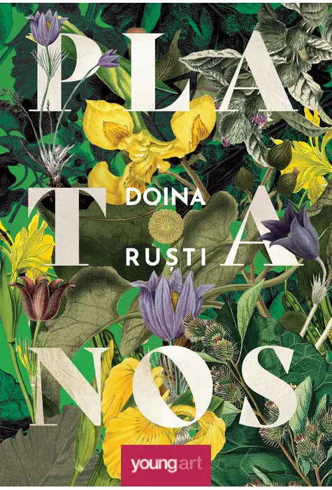 PLATANOS (Doina Rusti)