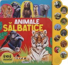 Bebe învață. Primele cuvinte. 45 de sunete din jurul tău + Animale salbatice 10 sunete