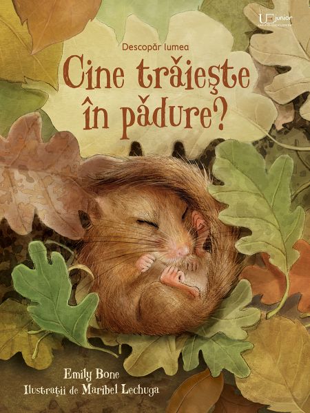 Cine traieste in padure? (Usborne)