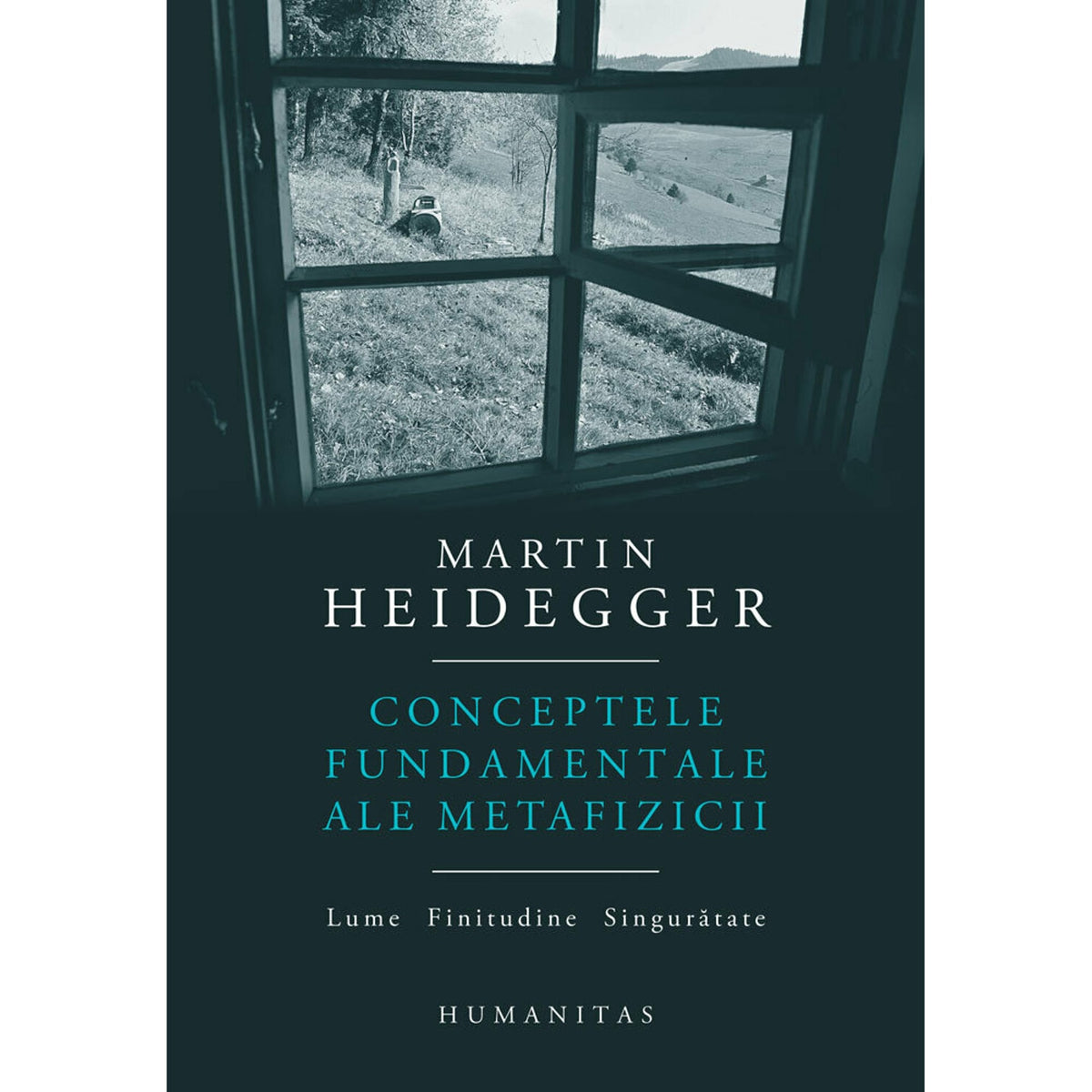 Conceptele fundamentale ale metafizicii. Lume. Finitudine. Singurătate