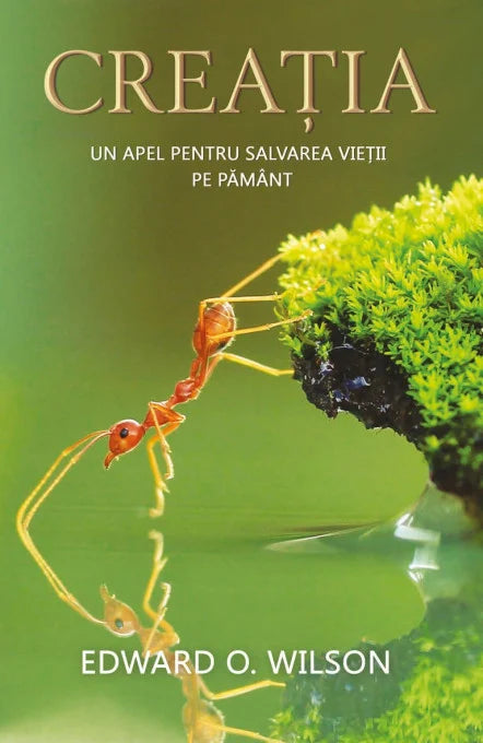 Creația: un apel pentru salvarea vieții pe Pământ