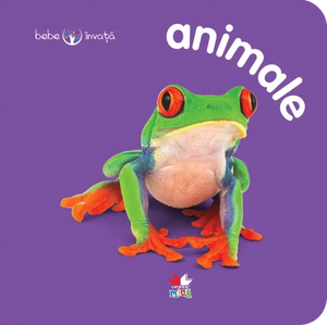 Animale. Bebe învață