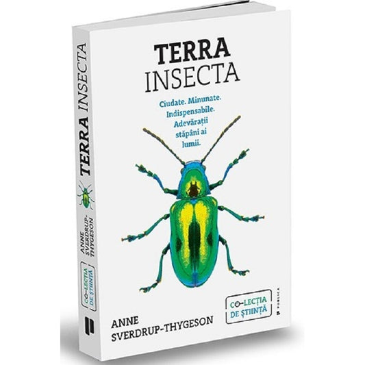 Terra Insecta
