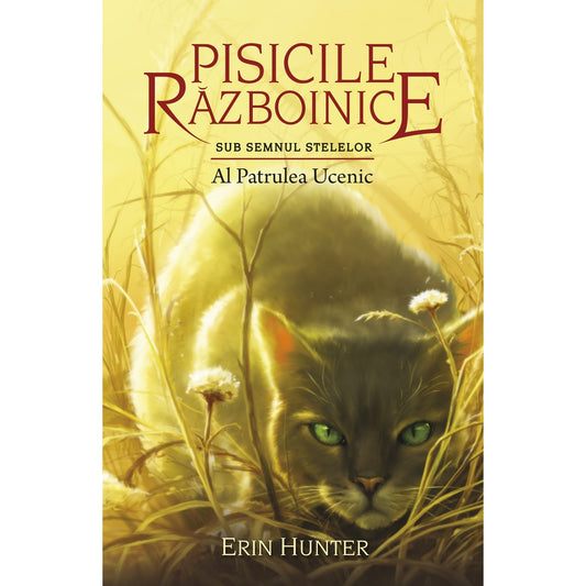 Pisicile Războinice. Puterea celor trei. Cartea a XIX-a: Al Patrulea Ucenic