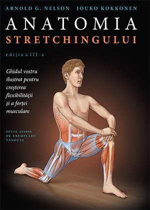 ANATOMIA STRETCHINGULUI