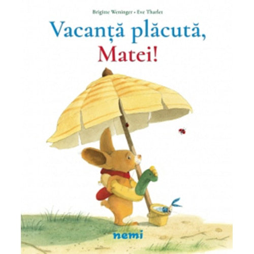 Vacanță placută, Matei