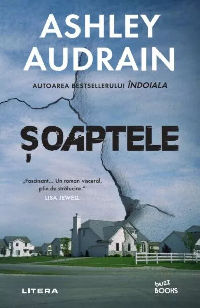 Soaptele de Ashley Audrain
