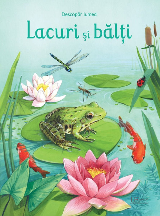 Lacuri și bălți