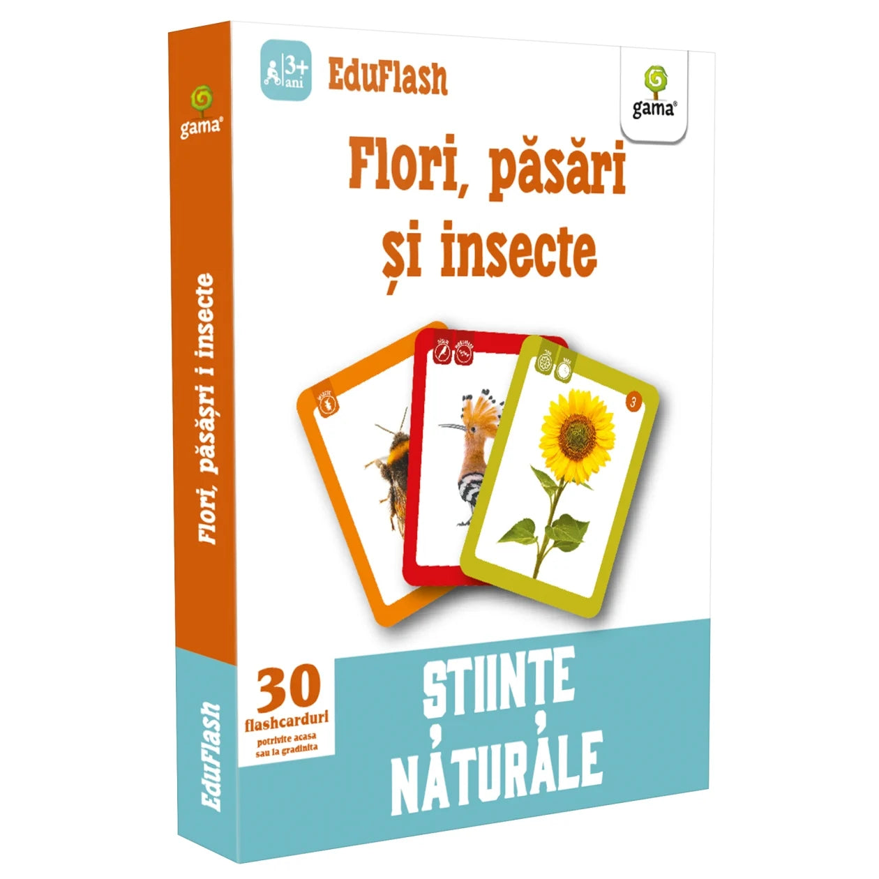 Flori, pasari si insecte - EDUSET