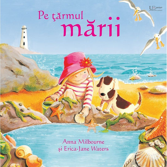 Pe țărmul mării