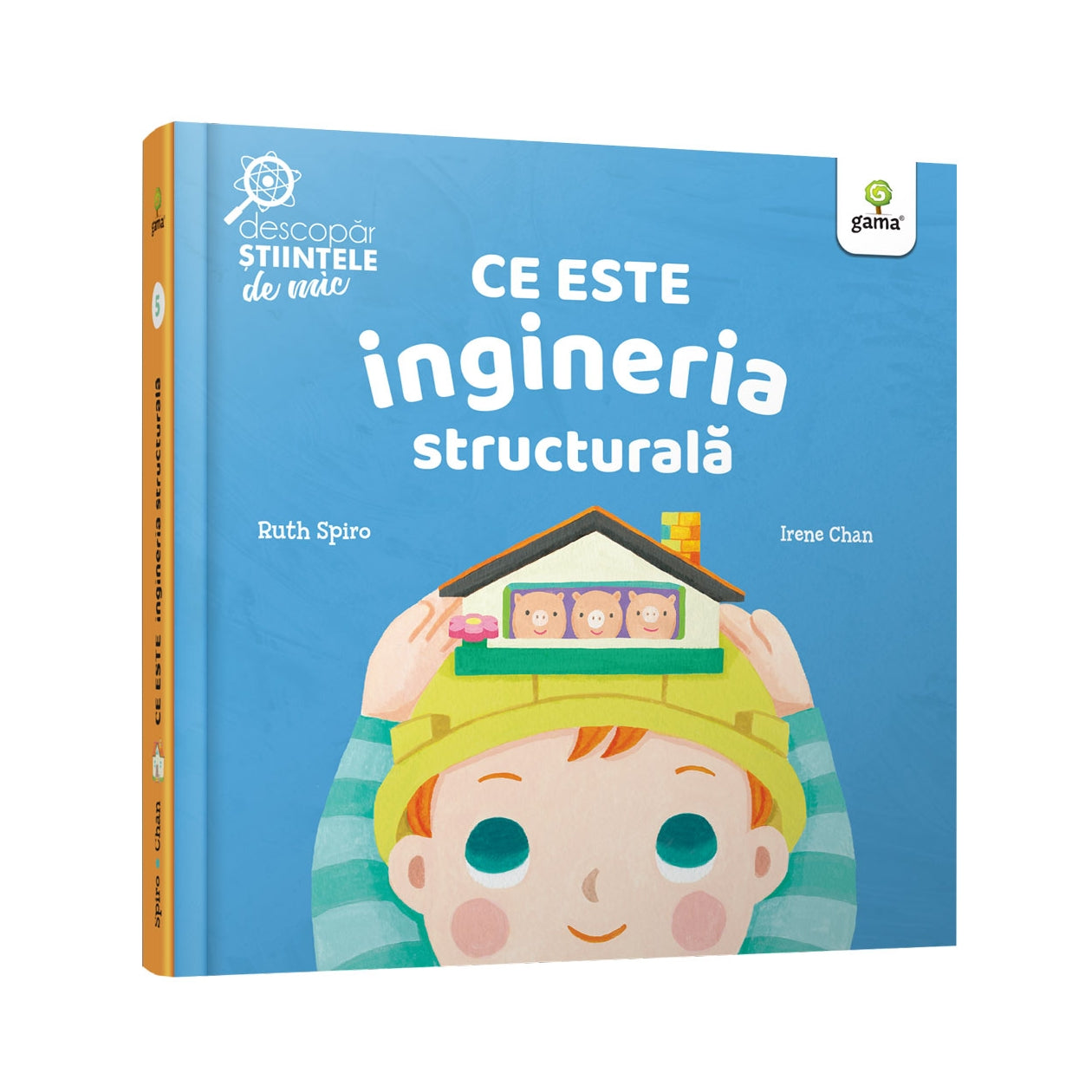Ce este ingineria structurala/Descopar stiintele de mic