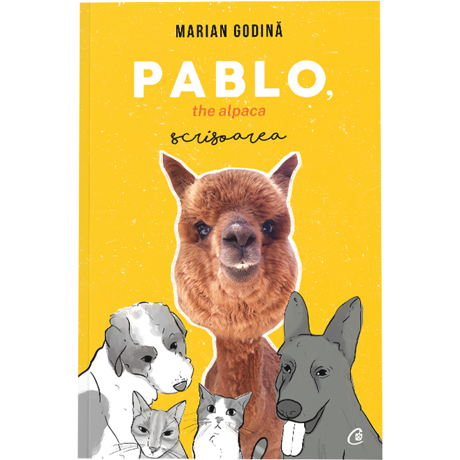 Pablo the alpaca