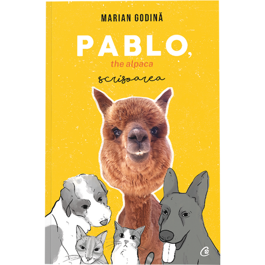 Pablo the alpaca
