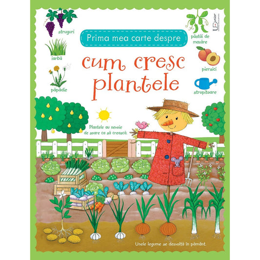 Prima mea carte despre cum cresc plantele