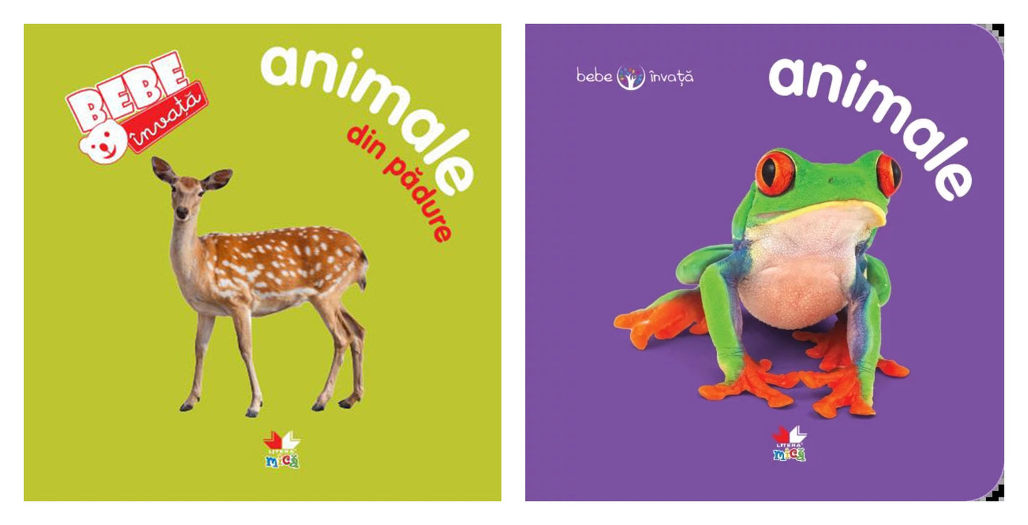 Animale din pădure. Bebe învață + Animale. Bebe învață