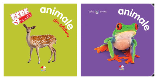 Animale din pădure. Bebe învață + Animale. Bebe învață