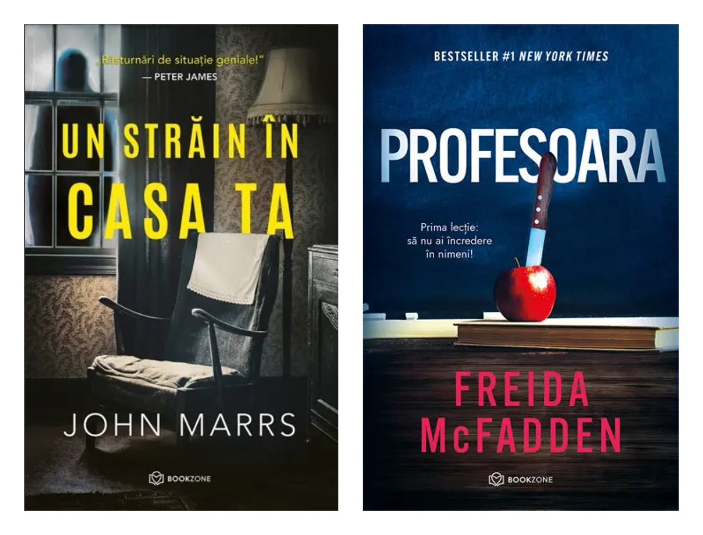 Un strain in casa ta + Profesoara de Freida McFadden