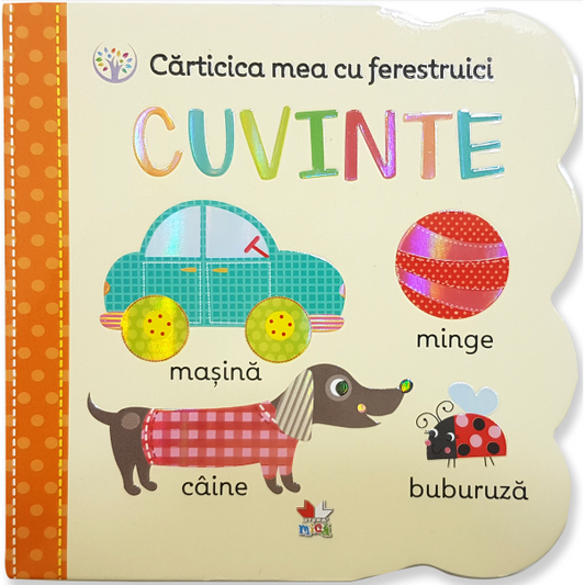 Carticica mea cu ferestruici. Cuvinte