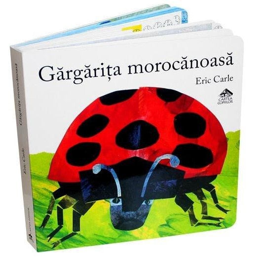 Gargarita morocanoasa