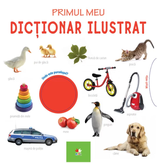 Primul meu dicționar ilustrat. Bebe învață