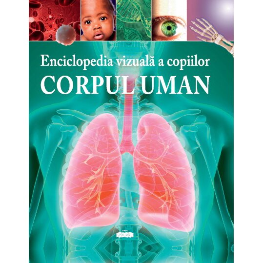Enciclopedia vizuală a copiilor. Corpul uman